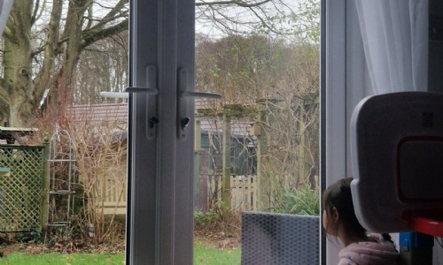 News » The Big Garden Birdwatch at Home